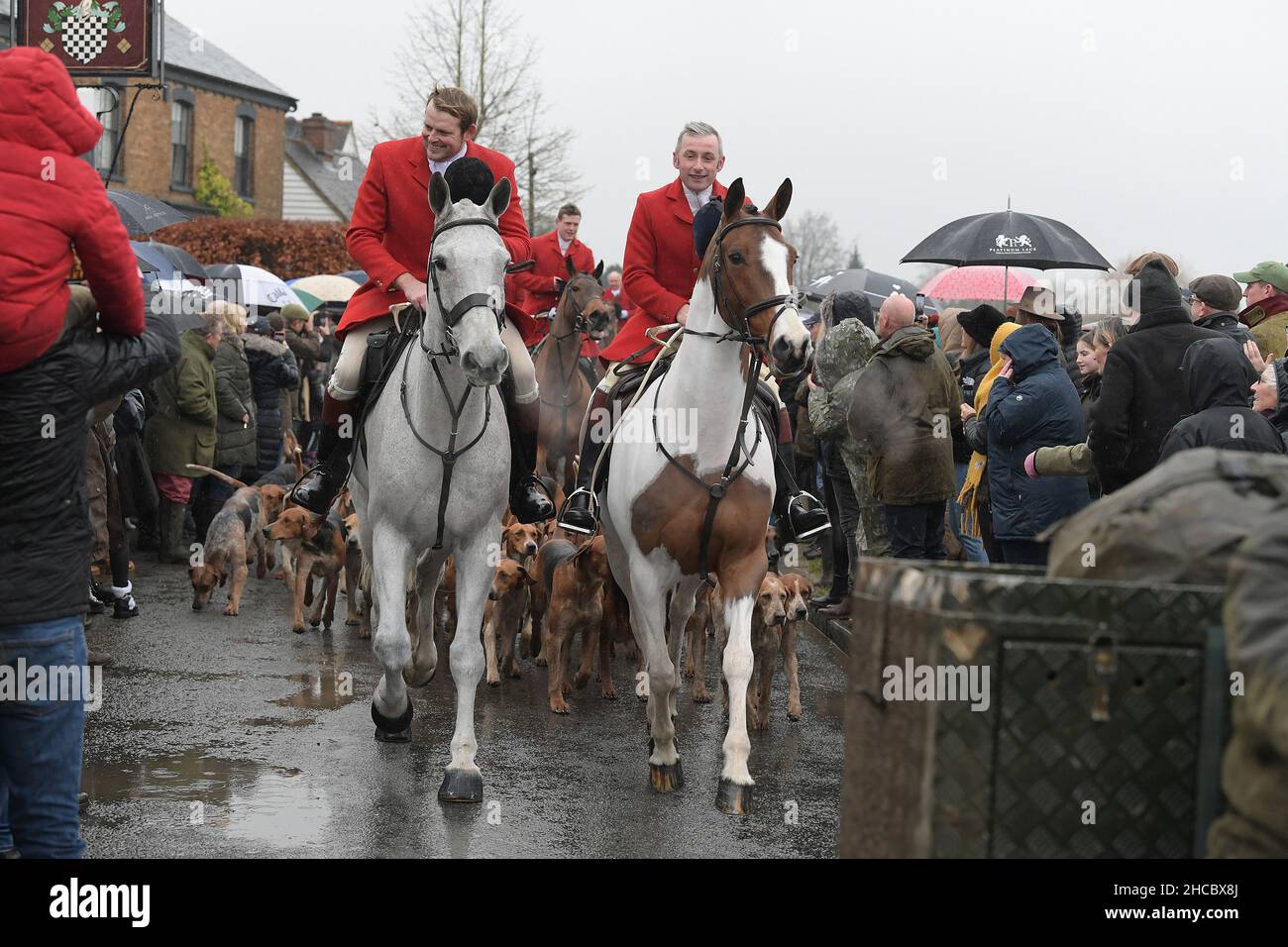 Are Dogs Allowed In Chase Bank