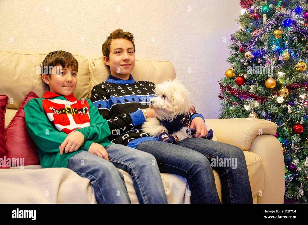 Brothers sit together on a setter on Christmas day and cuddle their