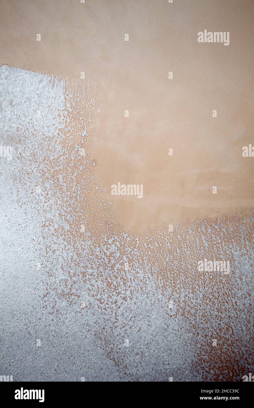 Painting new plastered walls Stock Photo Alamy