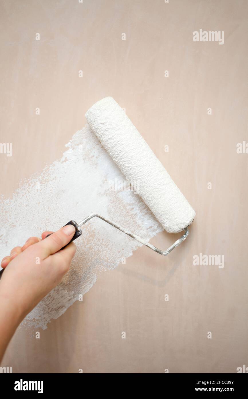 Painting new plastered walls Stock Photo Alamy