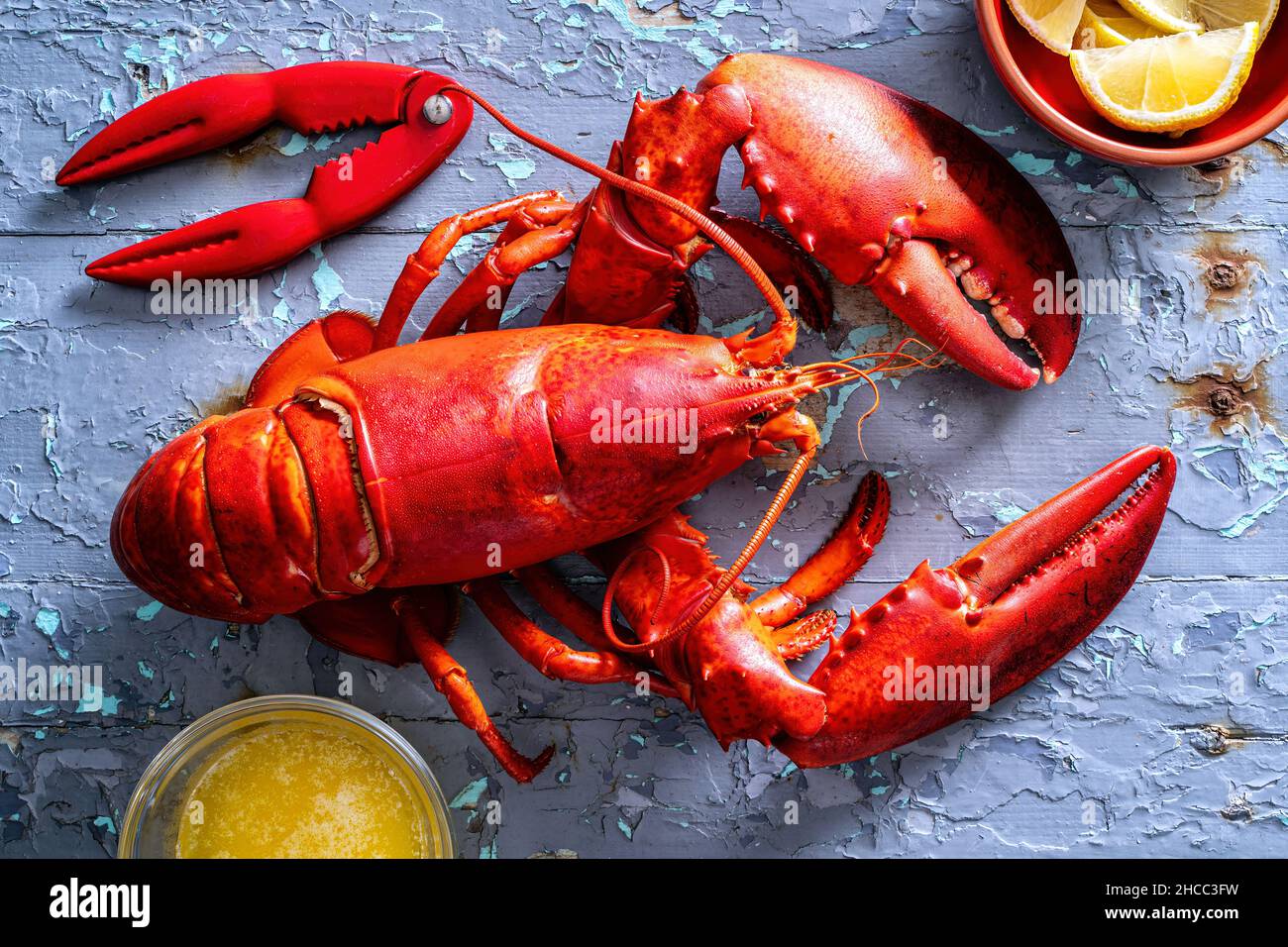 A delicious North Atlantic lobster on a rustic picnic table. Stock Photo
