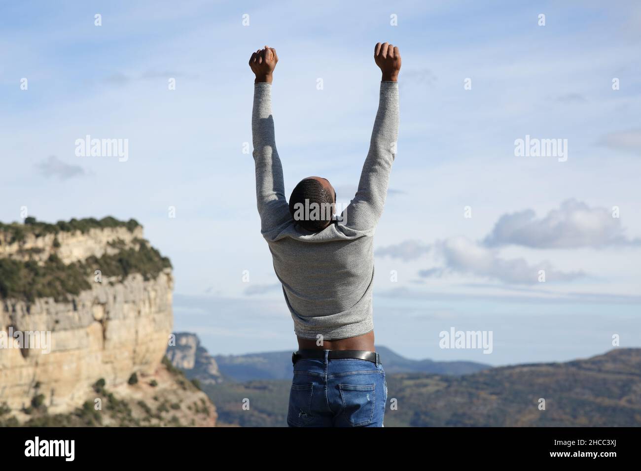 Back view portrait of an excited man with black skin raising arms in nature Stock Photo