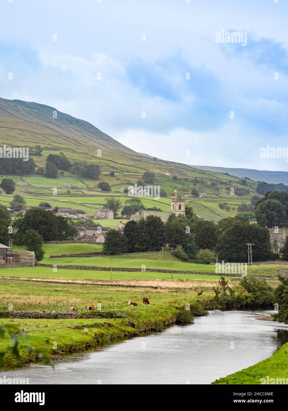 View of Haews and the River Ure, Wensleydale. Stock Photo