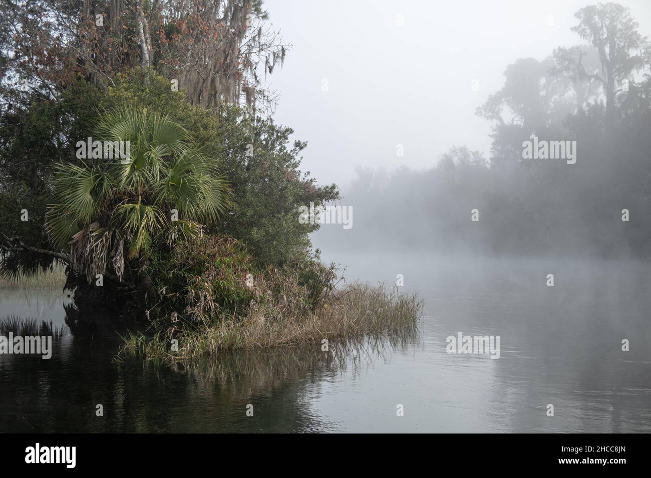 Scenic Rainbow River / Rainbow Springs in misty morning. Dunnellon, Florida in Marion County. Stock Photo