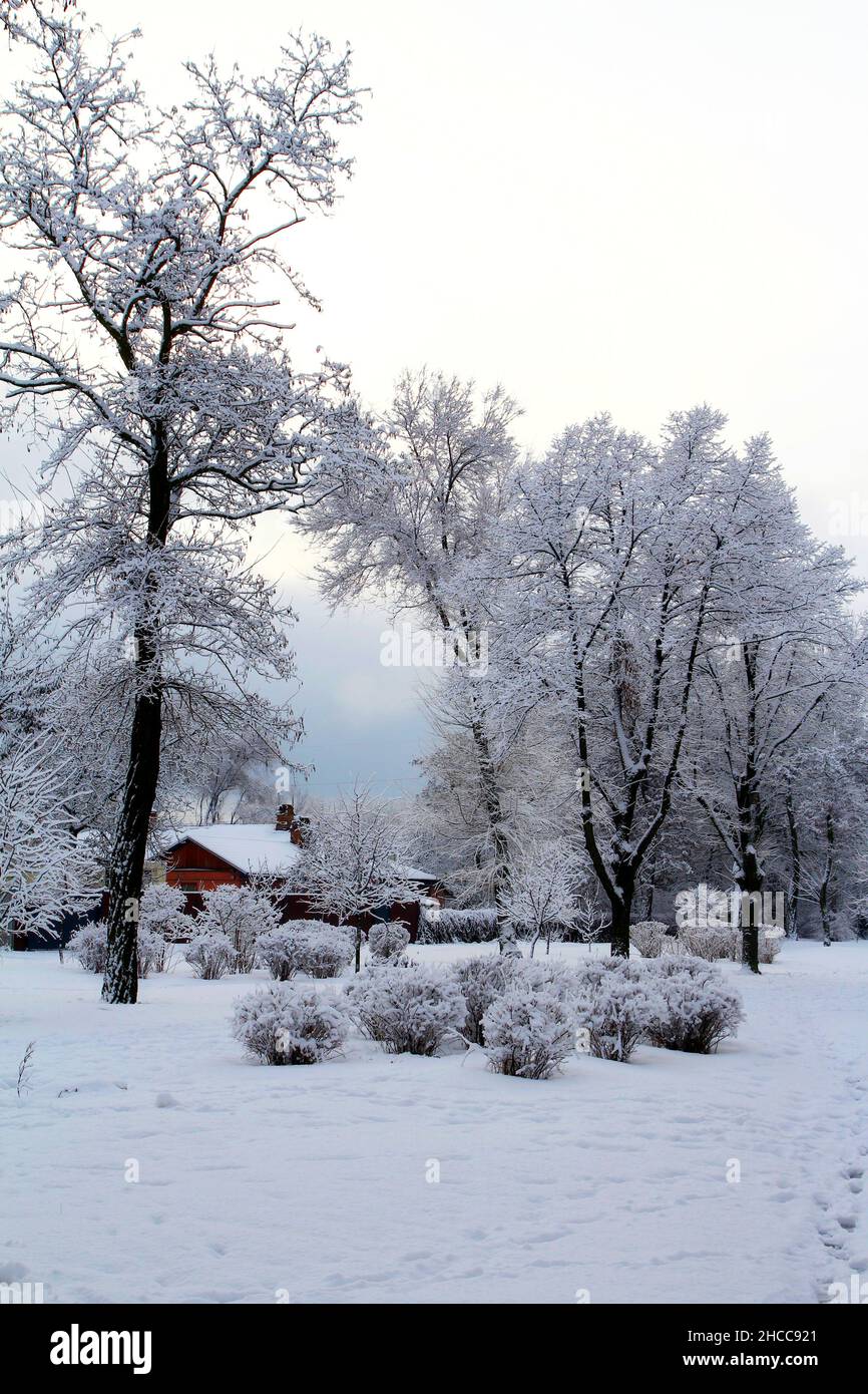 Winter motive with trees covered with frost and a small house. Stock Photo