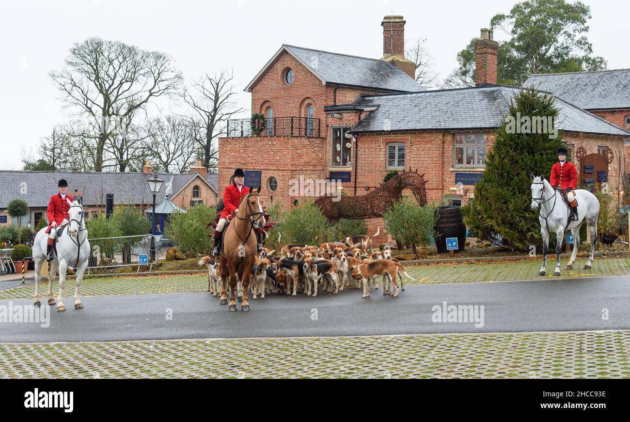 Huntsman John Holliday and whippers-in Sam and Poppy with the Duke of Rutland's hounds for The Belvoir Hunt's Boxing Day meet at The Belvoir Castle Engine Yard, Monday 27 December 2021 © 2021 Nico Morgan. All Rights Reserved Stock Photo