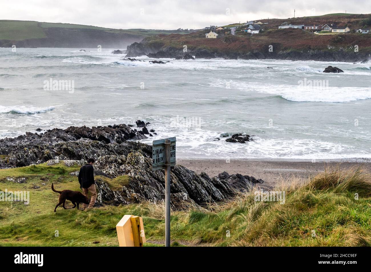Owenahincha, West Cork, Ireland. 27th Dec, 2021. A man walks his dog whilst big waves roll in at Owenahincha Beach this afternoon as the whole of Ireland is under a Met Eireann Weather Advisory for rain, which may lead to localised flooding. Credit: AG News/Alamy Live News Stock Photo
