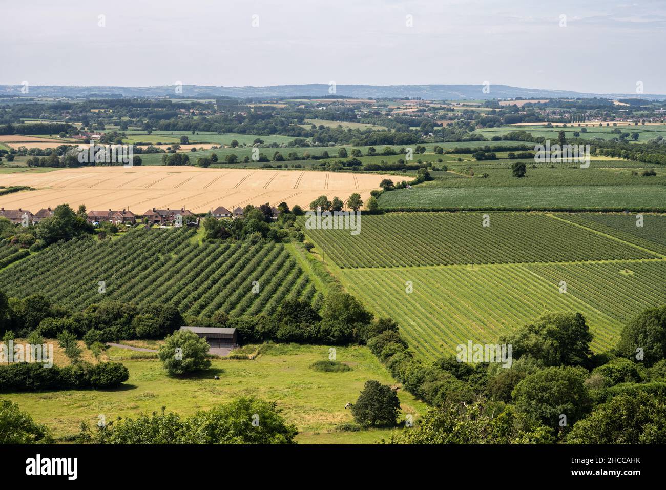 Fields of pasture, crops and soft fruit orchards form the agricultural landscape of South Somerset. Stock Photo