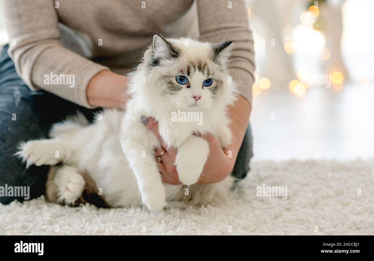 Girl ragdoll sales