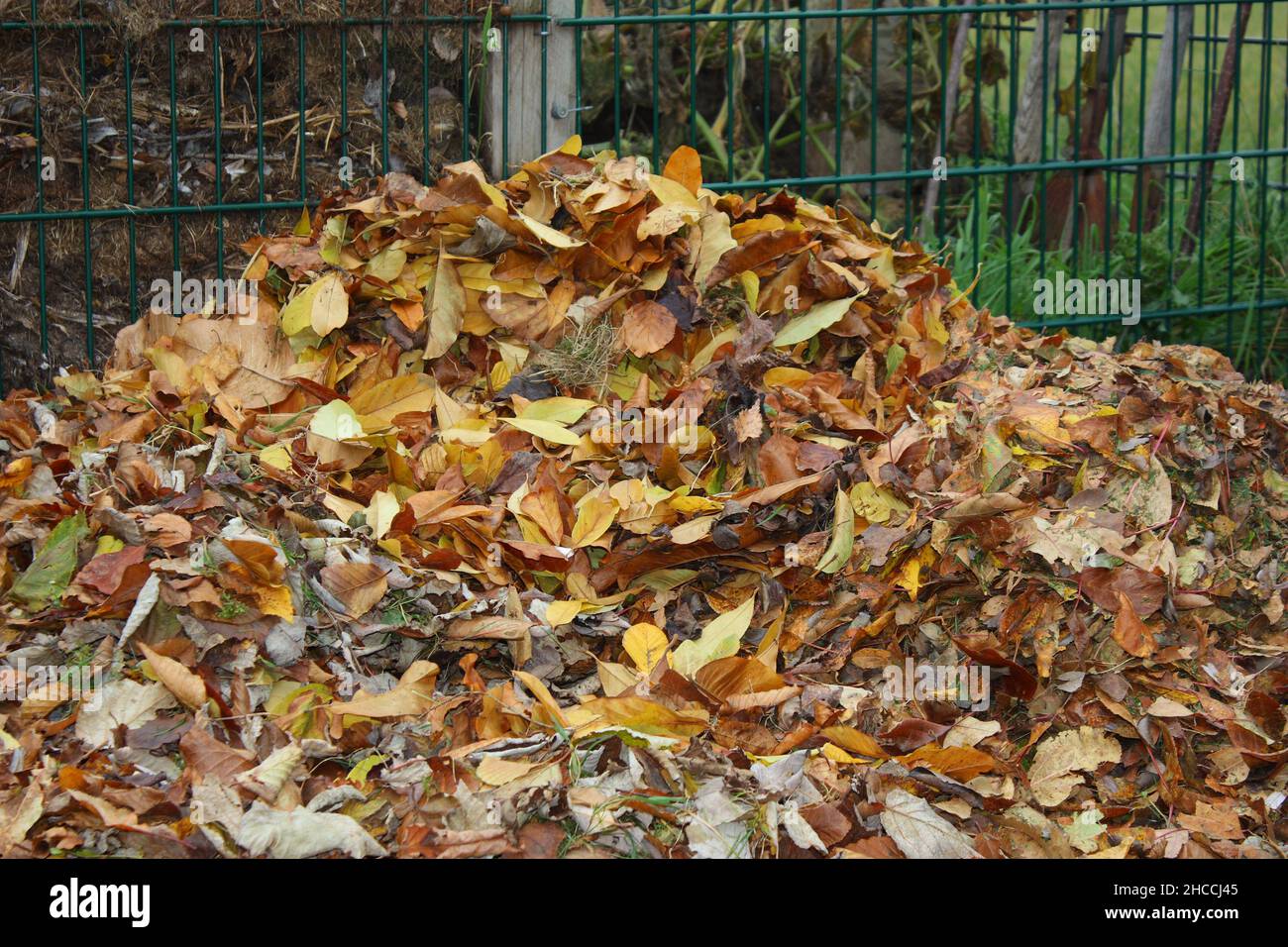 Herbstlaub im Garten gehäufelt Stock Photo