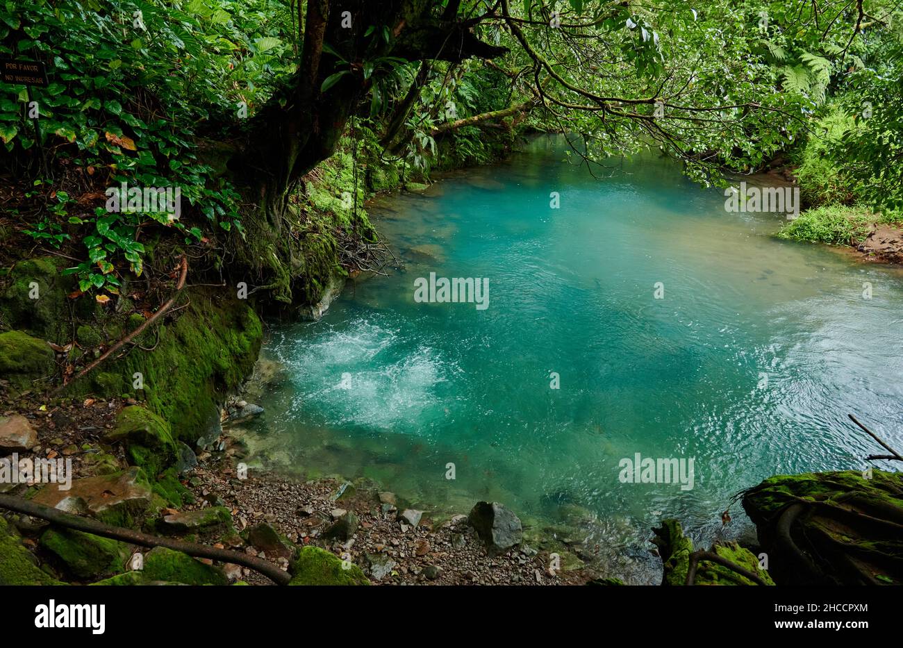bubbling hot springs at blue river Rio Celeste, Parque Nacional Volcán