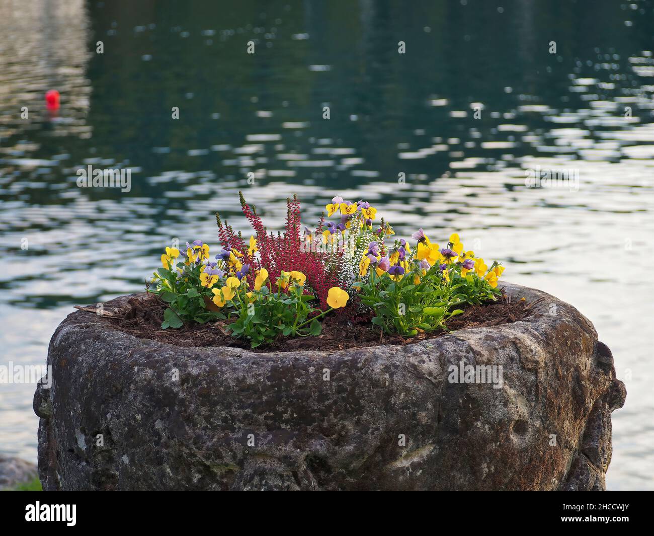 Rock with a bunch of colorful flowers in it and a lake in the ...