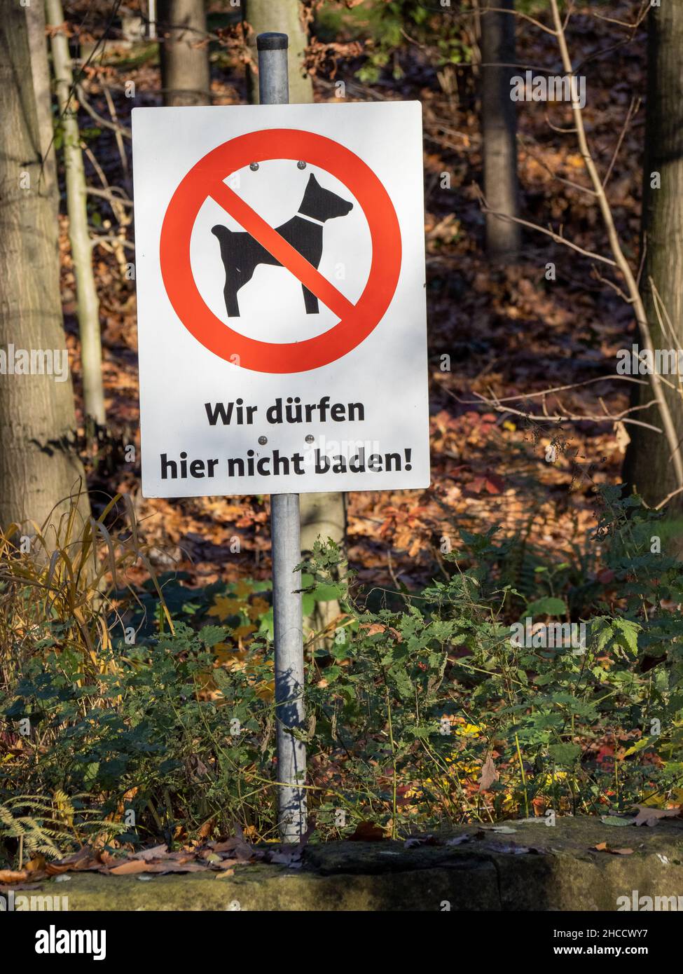 Vertical shot of a "No dog allowed" sign on a pole under the sunlight Stock Photo