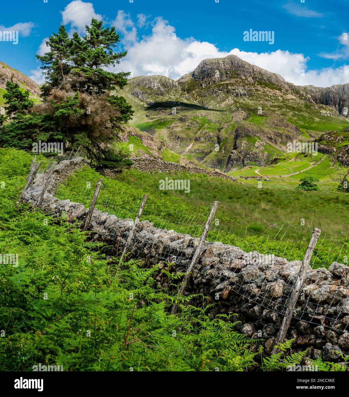 The Langdale Pikes, Lake District National Park, Cumbria, UK Stock Photo