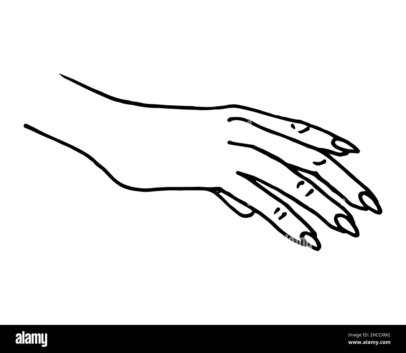 Female hand top right dorsum covering something sketch. Doodle line art vector isolated eps illustration Stock Vector