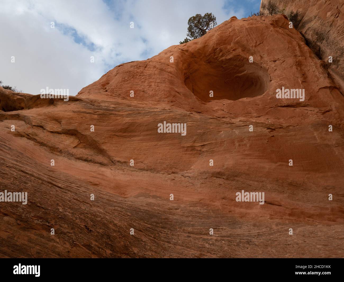 Cave eroded into red sandstone on the back side of Window Rock in
