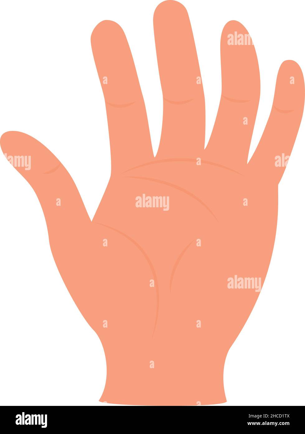 Hand Cute Filefront cute hand design over white Stock Vector Image & Art - Alamy