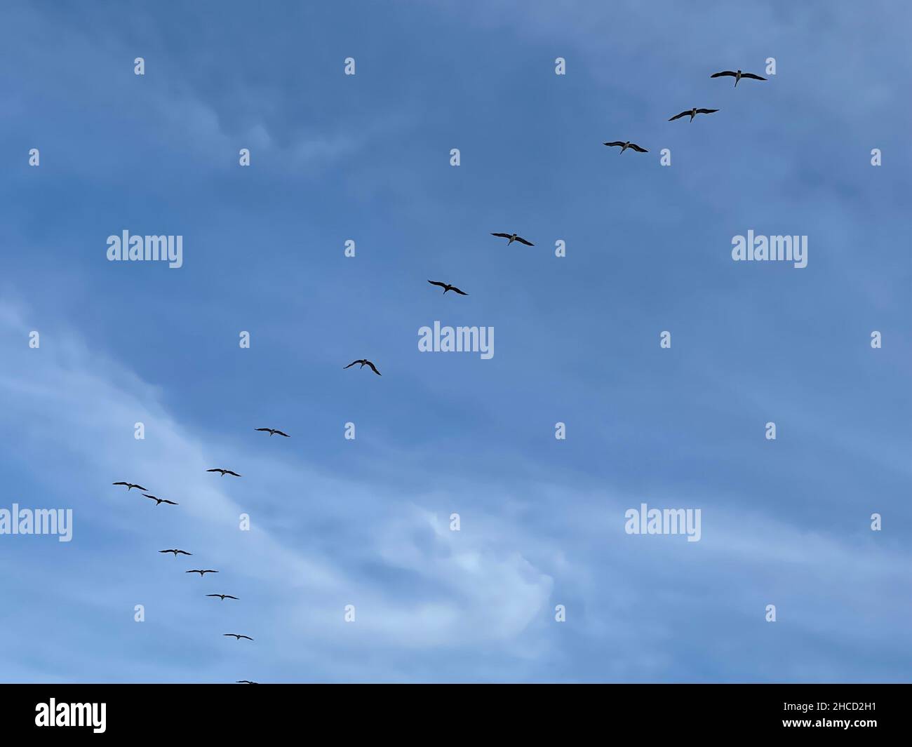 Nubes ligeras hi-res stock photography and images - Alamy, image size:1300x1065