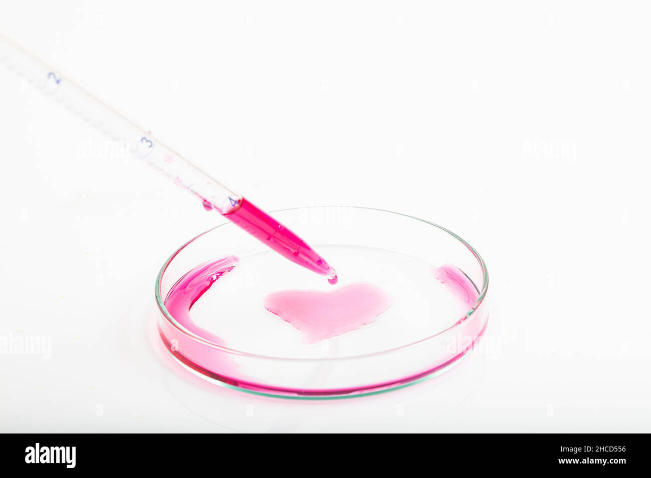Laboratory pipette filled with red liquid and resulting chemical solution on Petri dish for a biology experiment in his laboratory. Red liquid in the Stock Photo