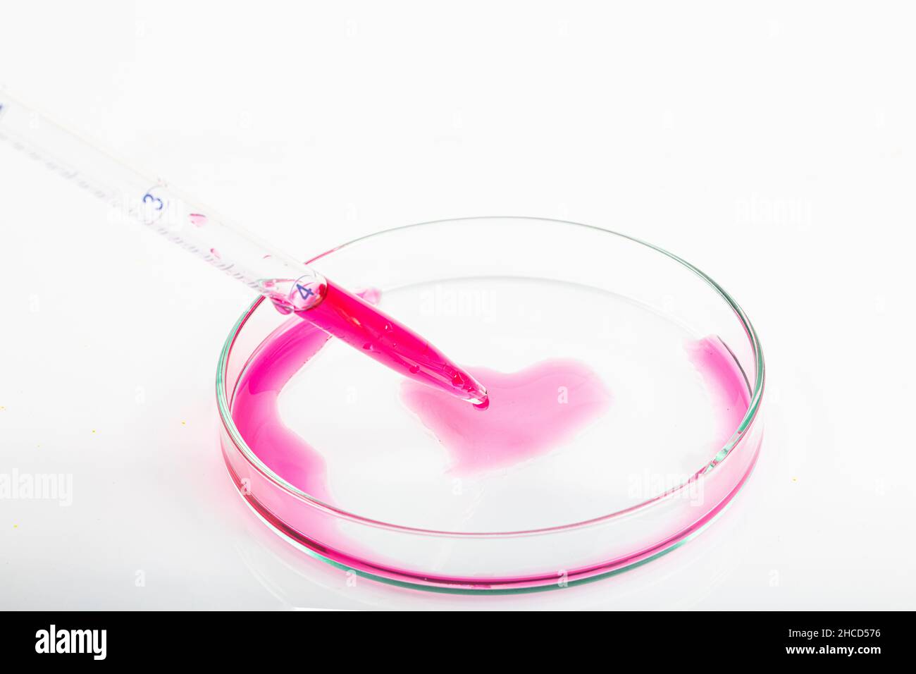 Laboratory pipette filled with red liquid and resulting chemical solution on Petri dish for a biology experiment in his laboratory. Red liquid in the Stock Photo