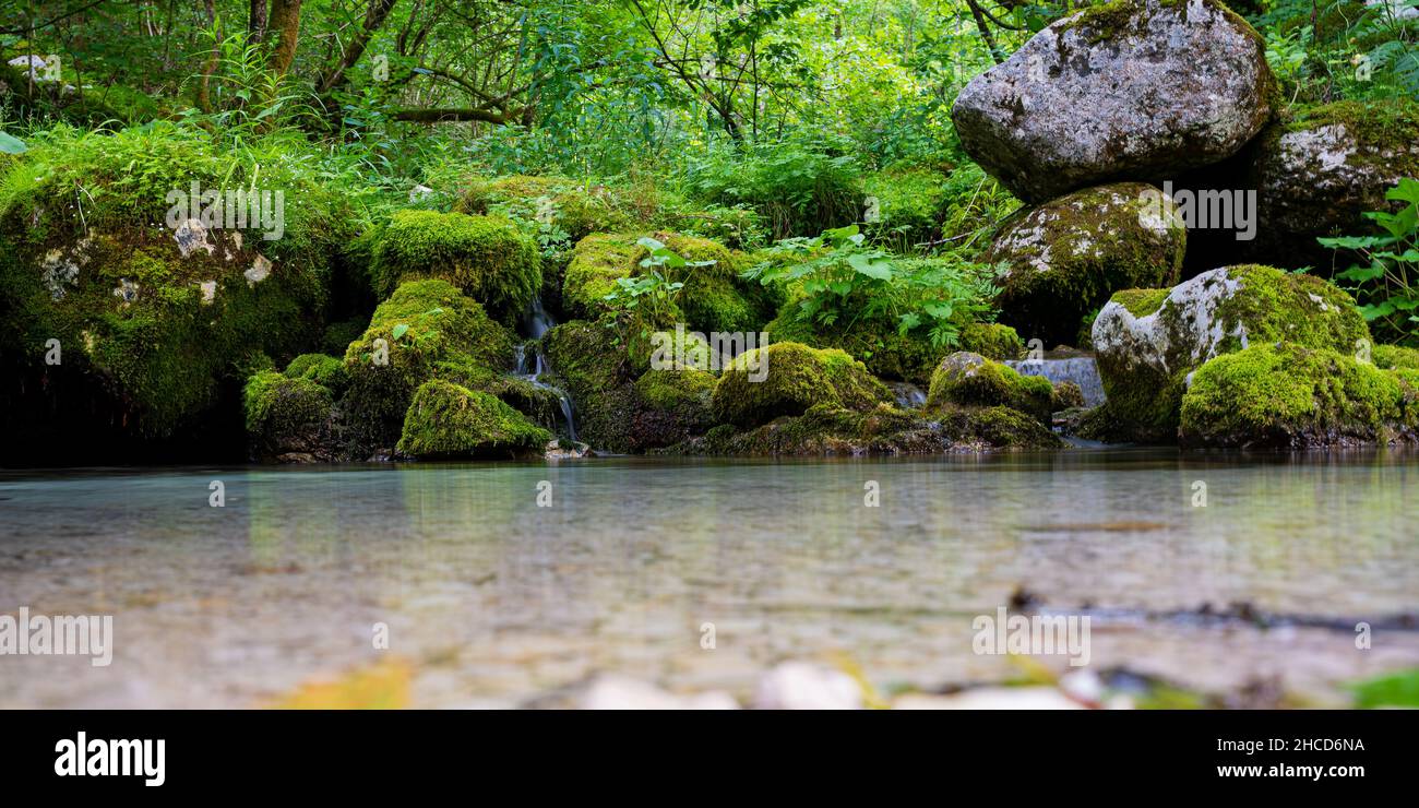 Peaceful Spring And Rocks Beautiful bright green spring nature with mossy rocks by a clear calm ...