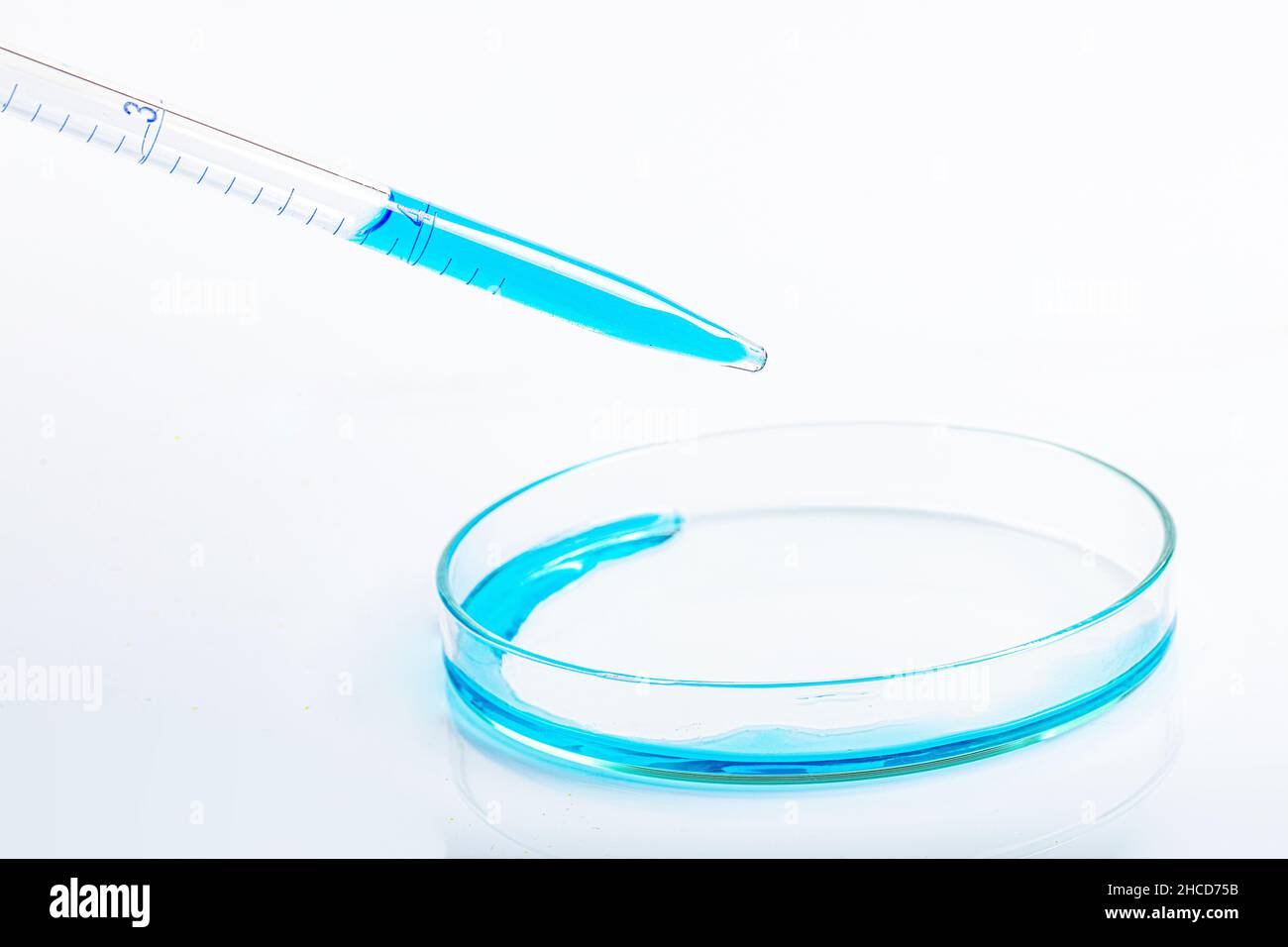 Laboratory pipette filled with blue liquid and resulting chemical solution on Petri dish for a biology experiment in his laboratory. Blue liquid in pe Stock Photo