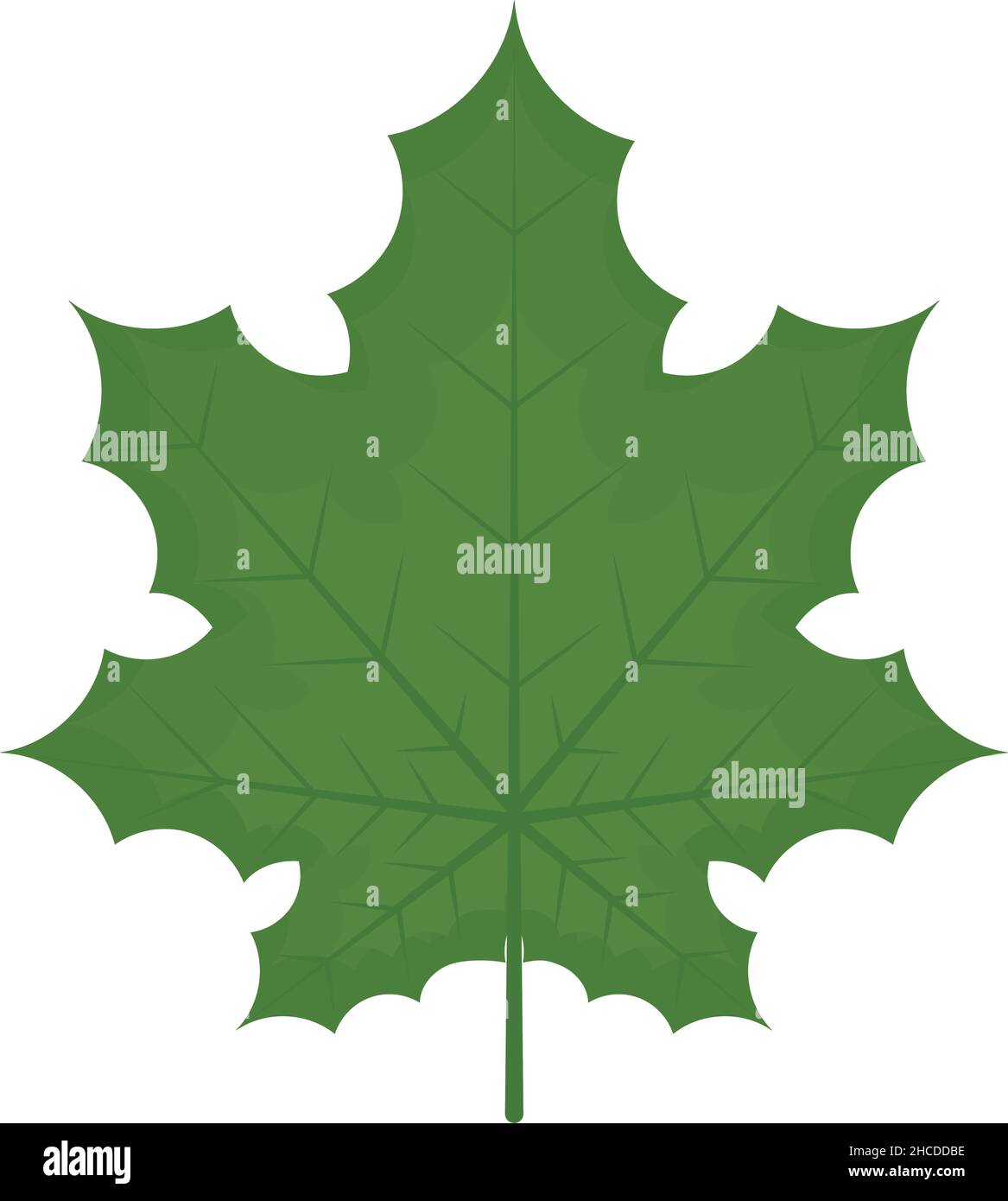 green leaf illustration over white Stock Vector Image & Art - Alamy