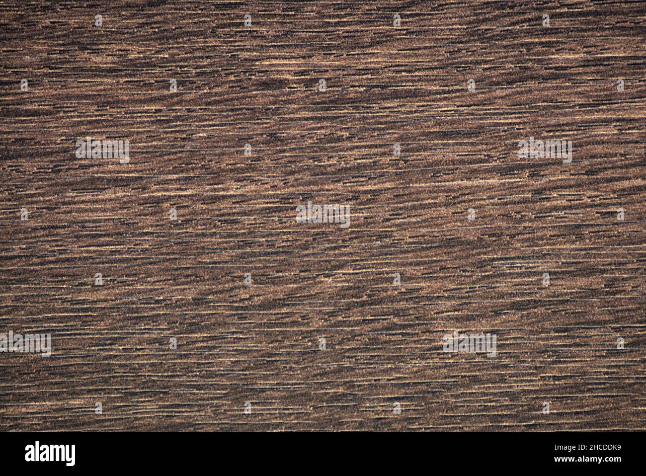 Dark walnut, deep brown natural wood grain close-up. Background, pattern, texture. Stock Photo