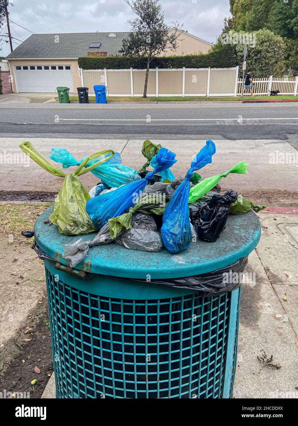 Dog poop bags on top of trash can on top of trash can, Culver City, Los Angeles, California, USA Stock Photo