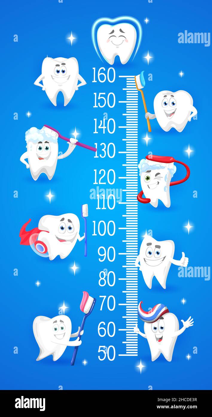 Cartoon teeth characters with toothbrush. Kids height chart, growth meter. Vector wall sticker for children height measurement with funny healthy spar Stock Vector