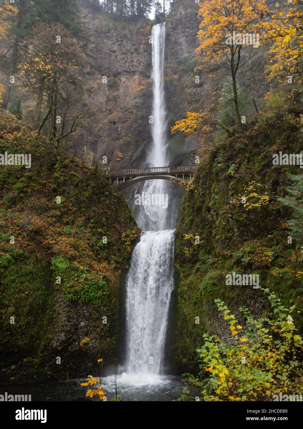Oregon Ravines Multnomah Falls with a bridge spanning the ravine in the Columbia River ...