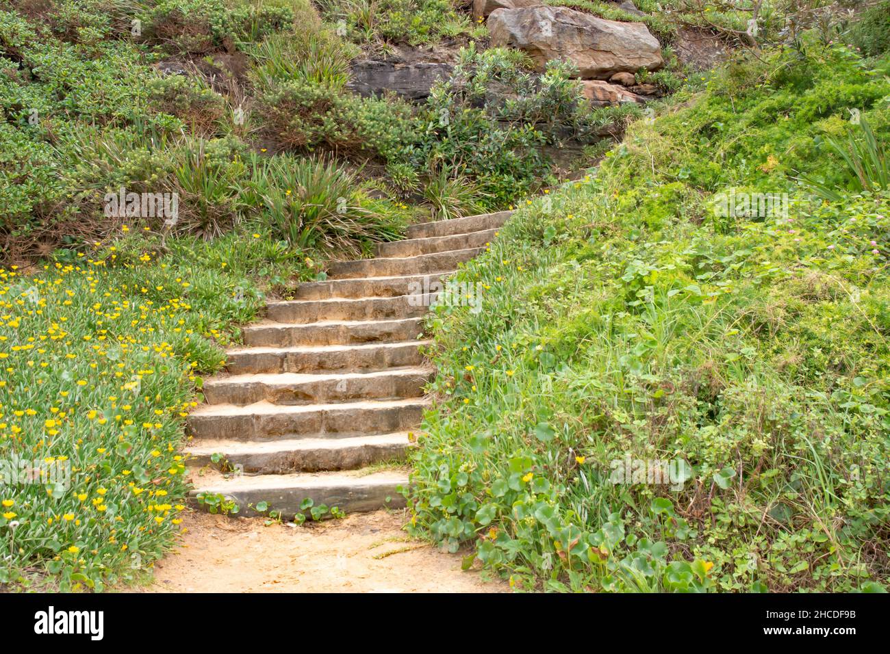 Middle section of steps from Turimette Beach, Sydney. Stock Photo