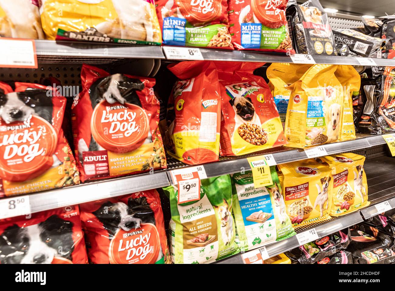 You lucky dog hires stock photography and images Alamy