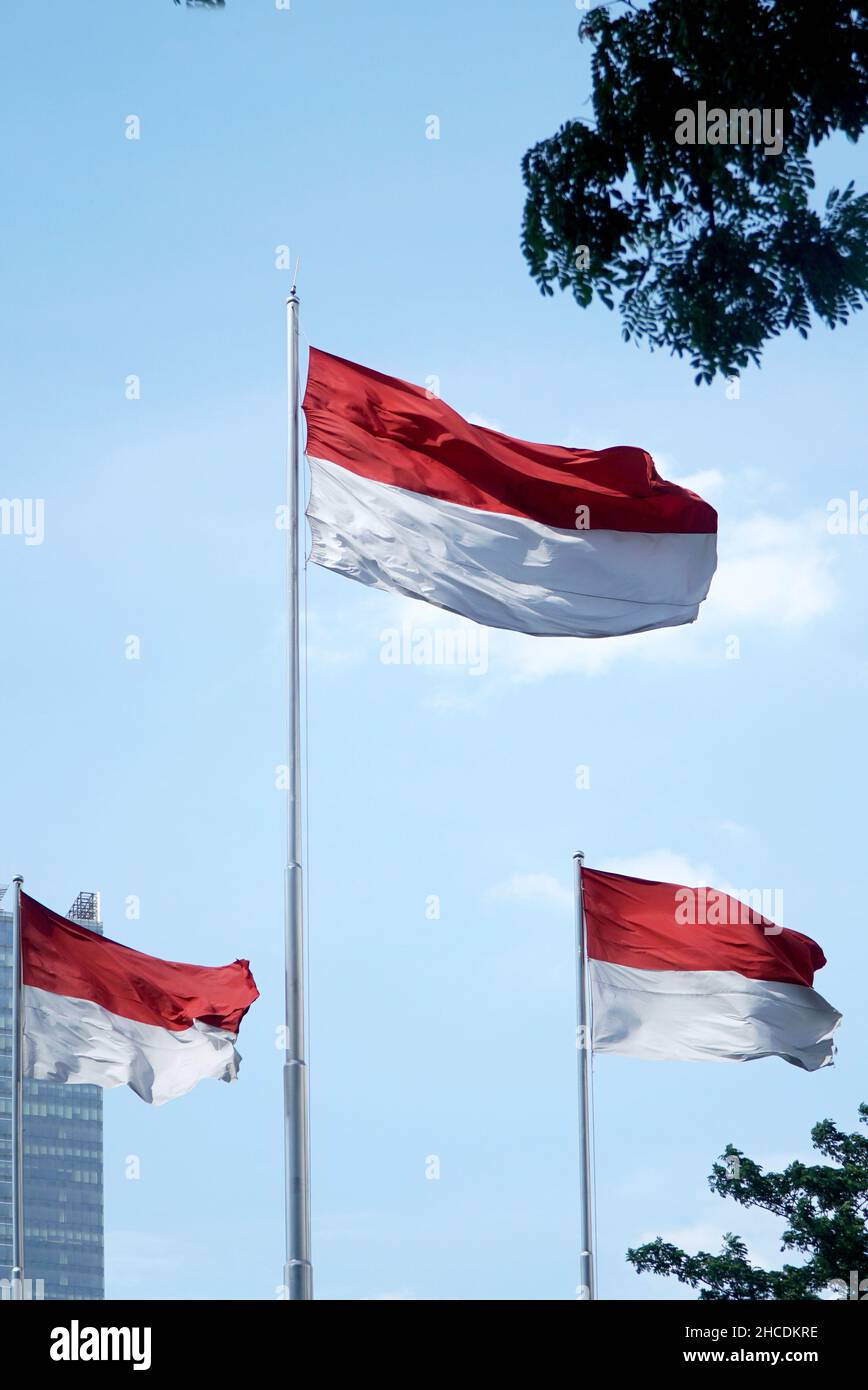 Indonesian National Flag, red and white color, flag flying in the sky ...