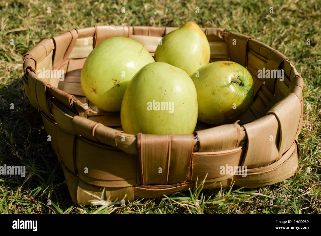 Jujubier High Resolution Stock Photography And Images Alamy