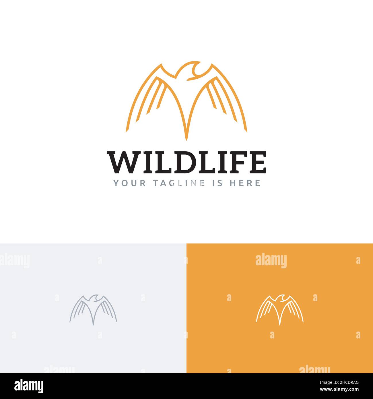 Hawk Eagle Falcon Wings Wildlife Bird Monoline Logo Template Stock Vector