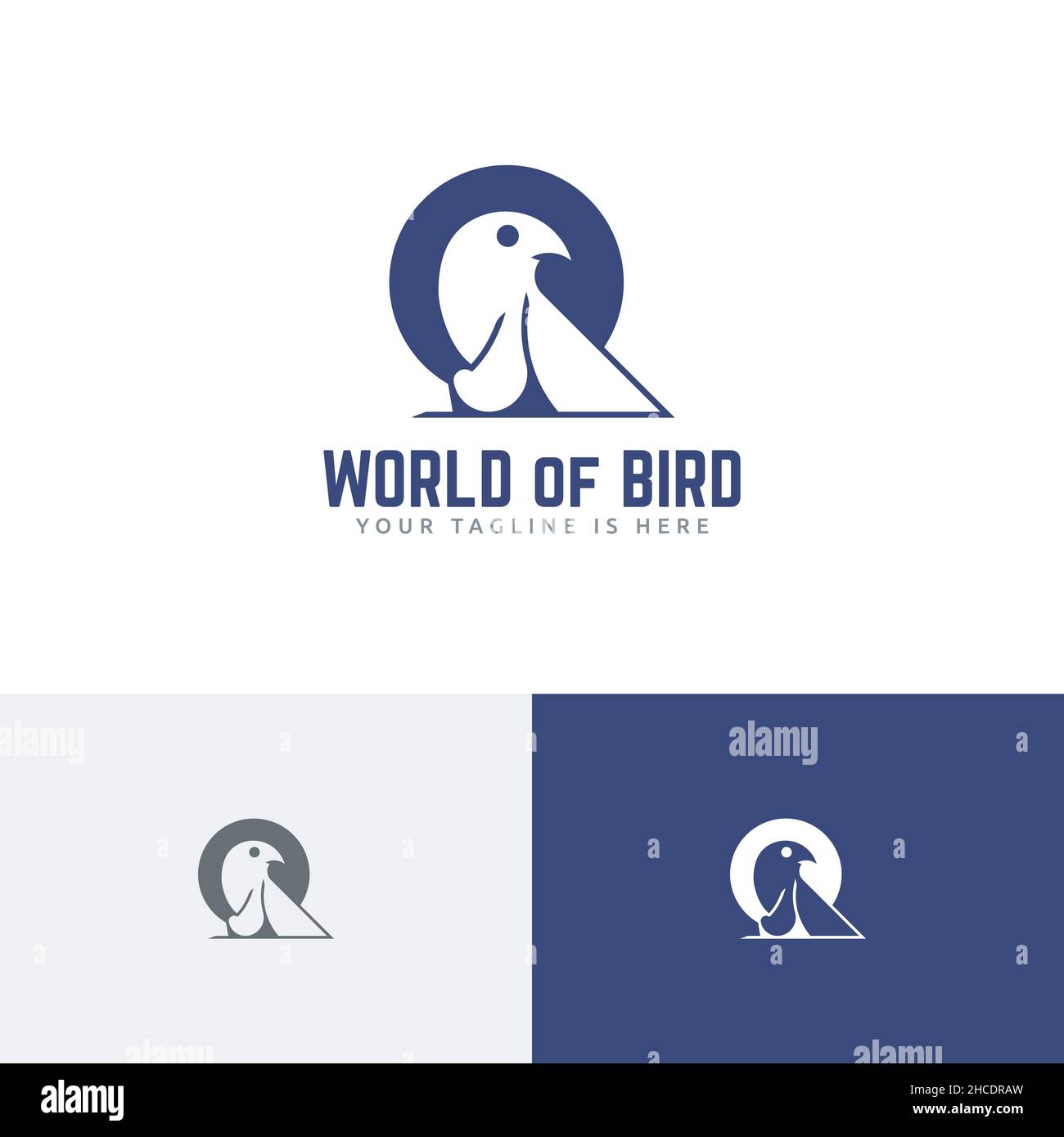 Bird World Nature Hawk Eagle Falcon Predator Logo Template Stock Vector