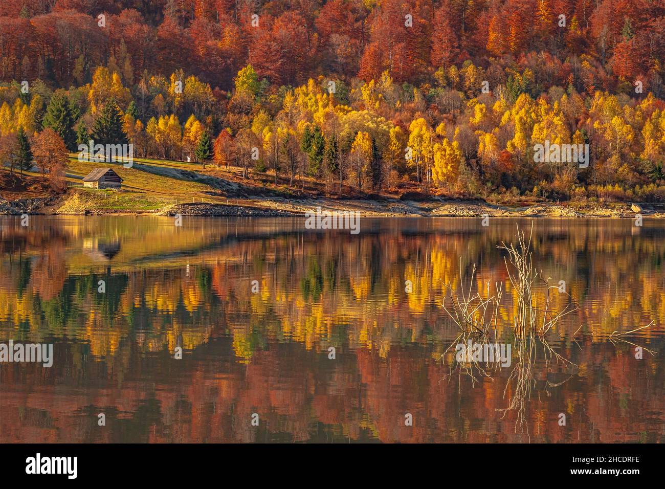 Small forest cottage on the Poiana Marului Lake shore reflected in a perfect symmetry. Photo taken on 31st of October 2021 in Poiana Marului reservati Stock Photo