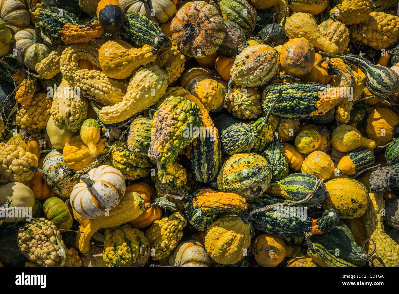 Sainte angele de monnoir hires stock photography and images Alamy