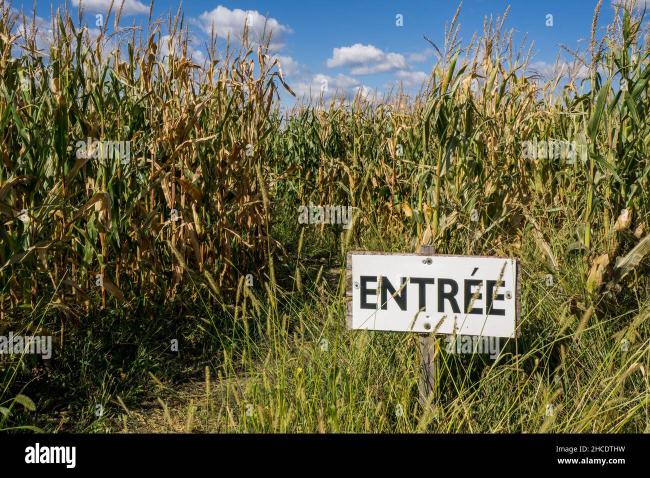 Sainte angele de monnoir hires stock photography and images Alamy