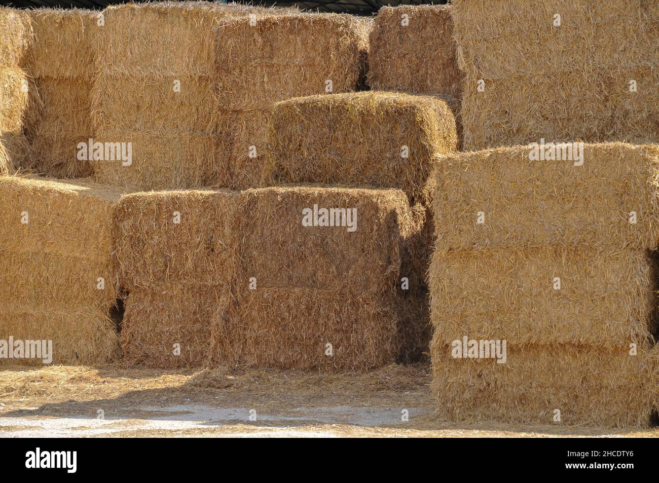 Bales of straw in storage in a dairy farm. Photographed at Kibbutz Harduf, Galilee, Israel Stock Photo