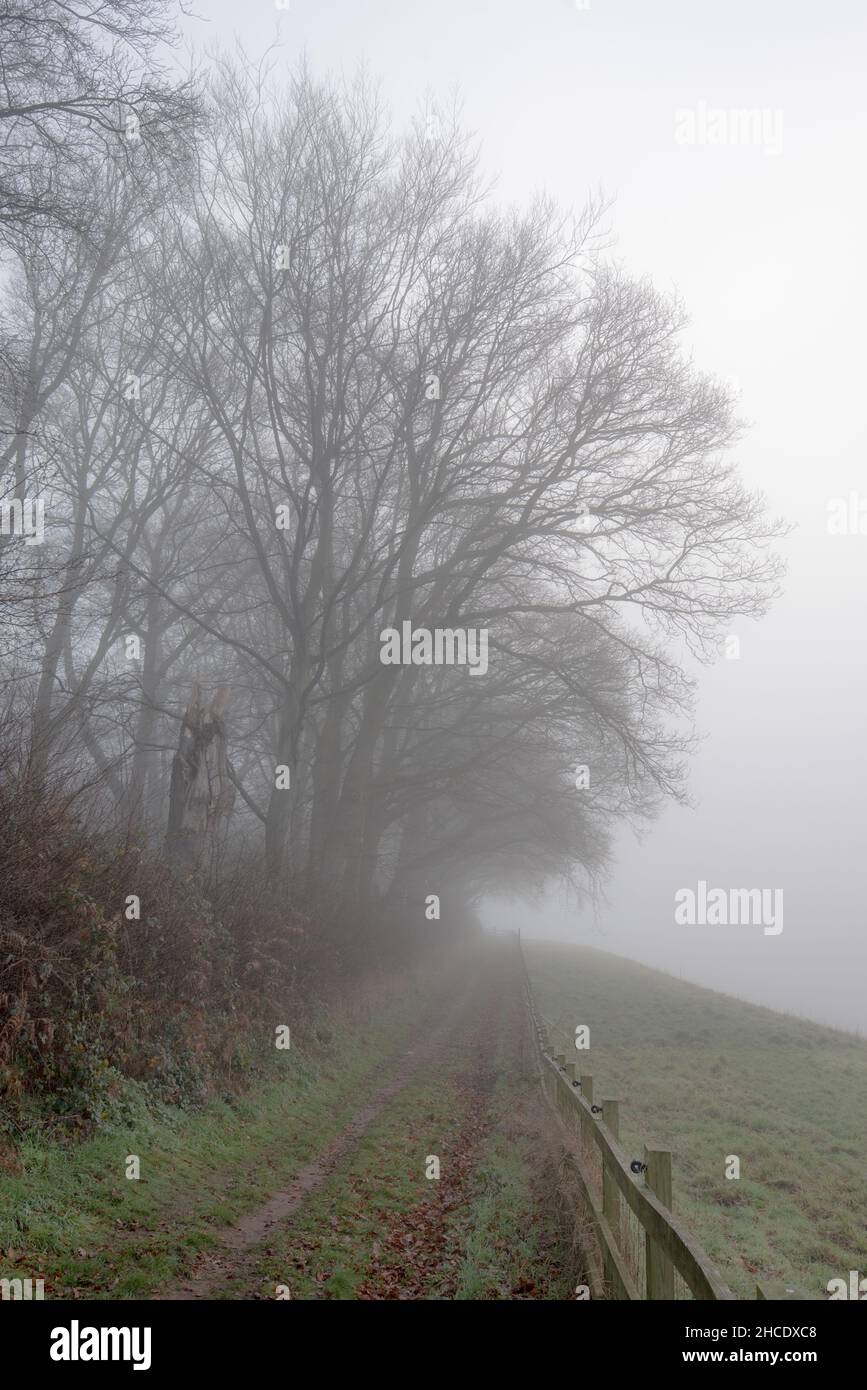 Misty morning on the perimeter path to Arclid Silica Sand Quarry Stock Photo