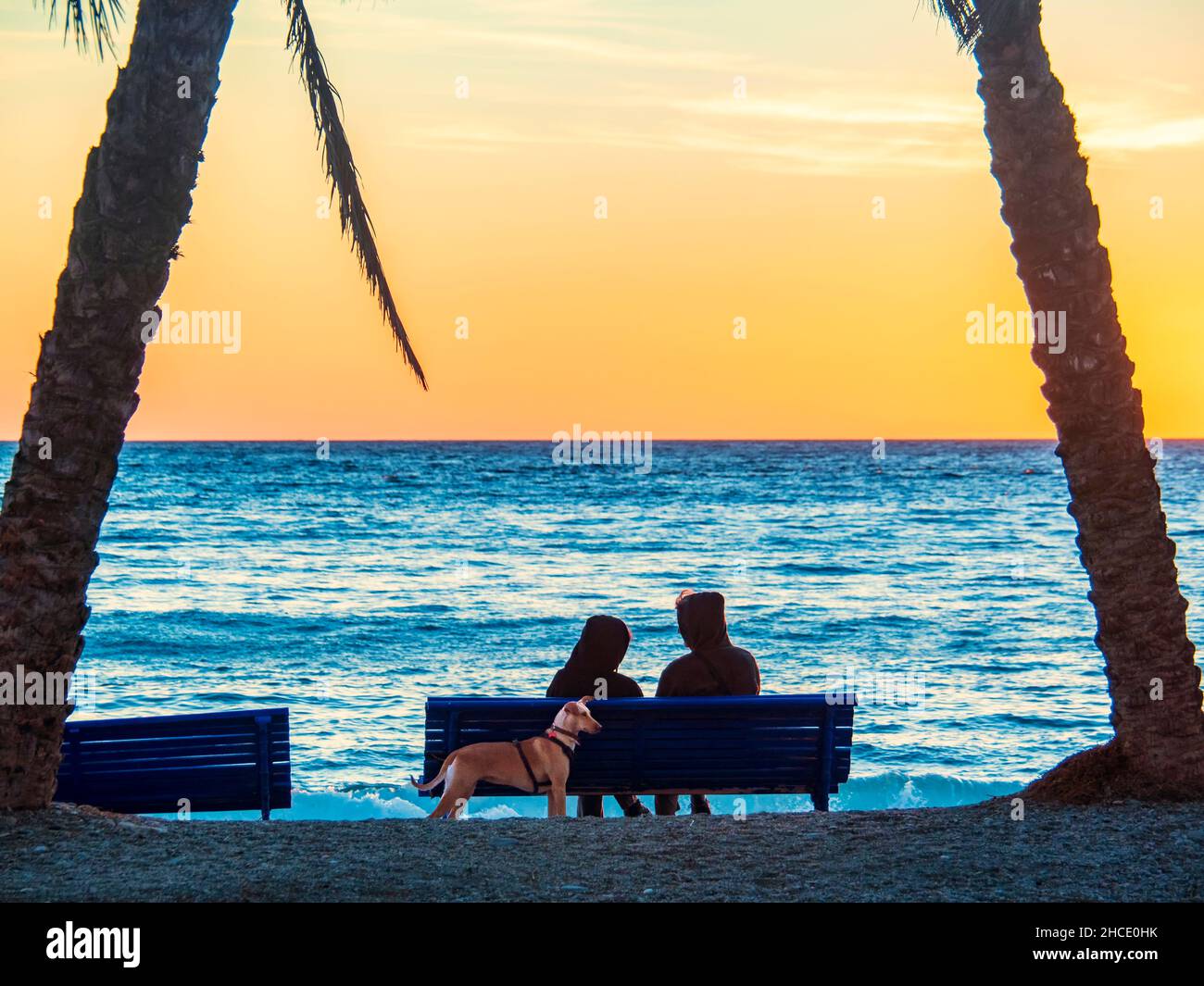 Silhouette of a couple with a dog on the sandy shore of Almuñecar beach at sunset. Stock Photo