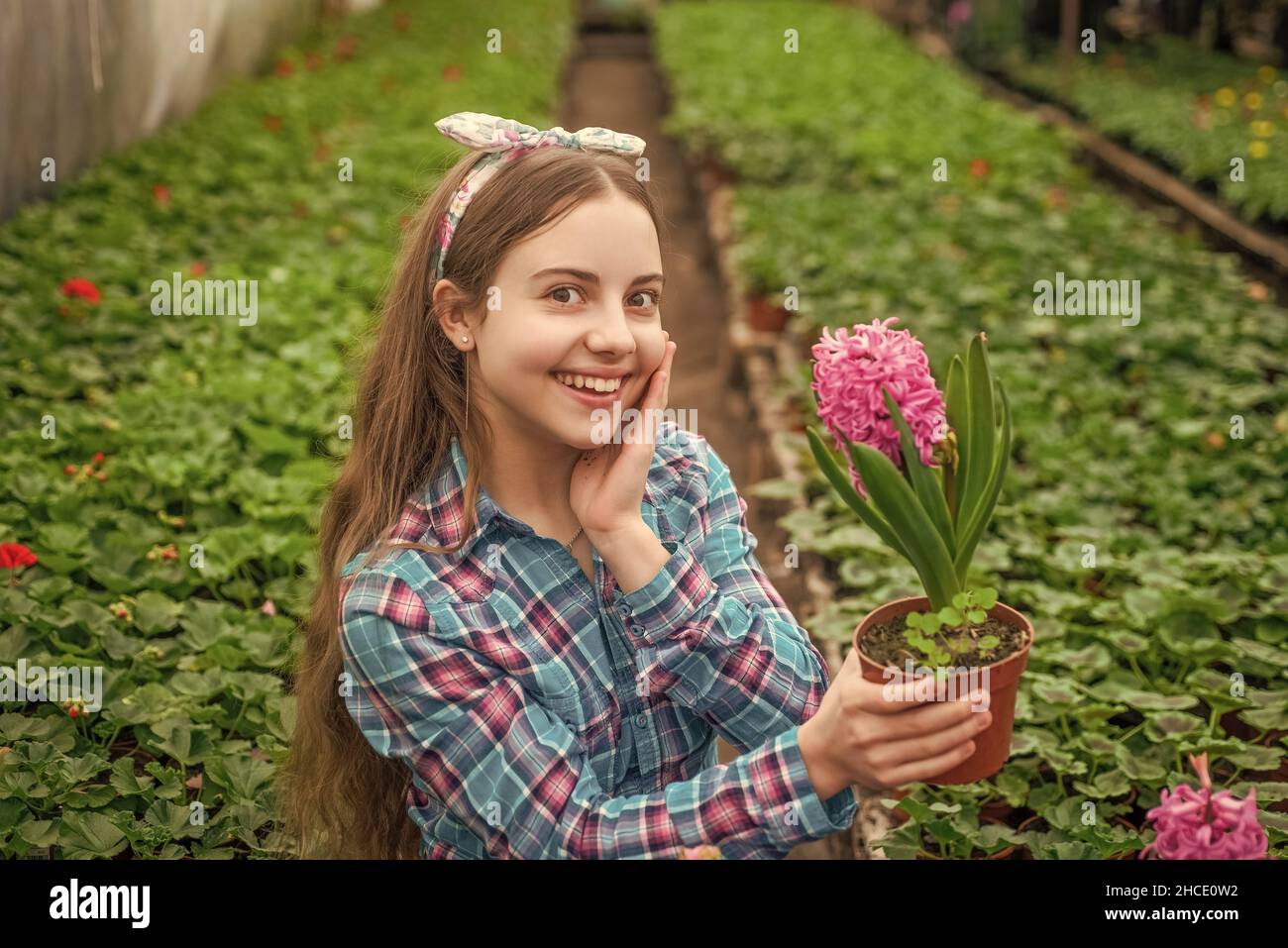 happy teen girl florist care pot plants in greenhouse, summer Stock ...