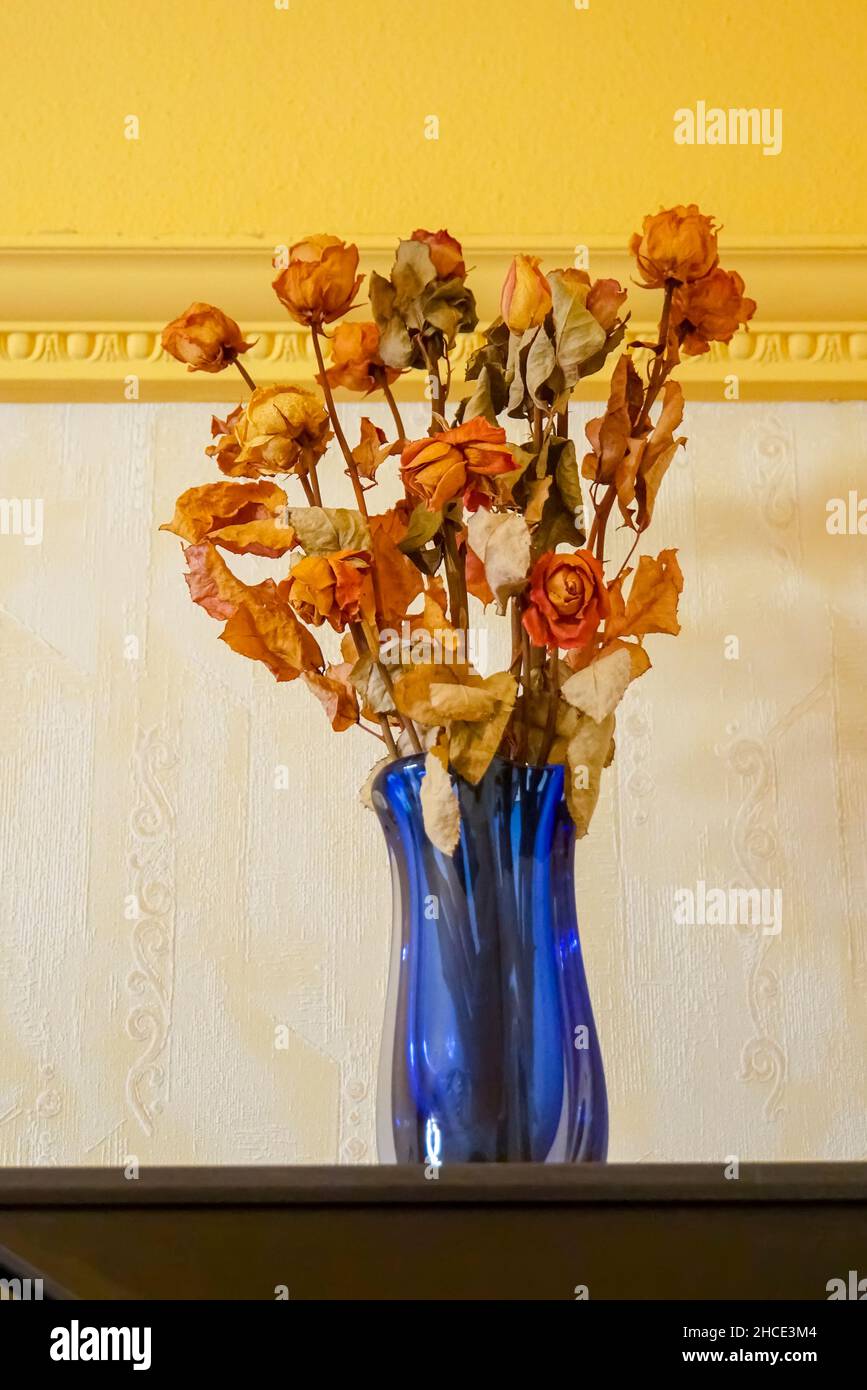 Closeup of a dry and wilted flowers in a vase Stock Photo