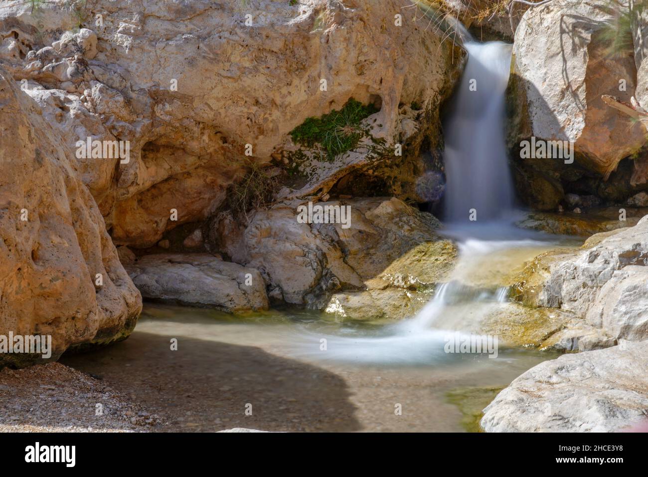 Israel, Dead Sea, Ein Gedi national park the waterfall in Wadi David Stock Photo