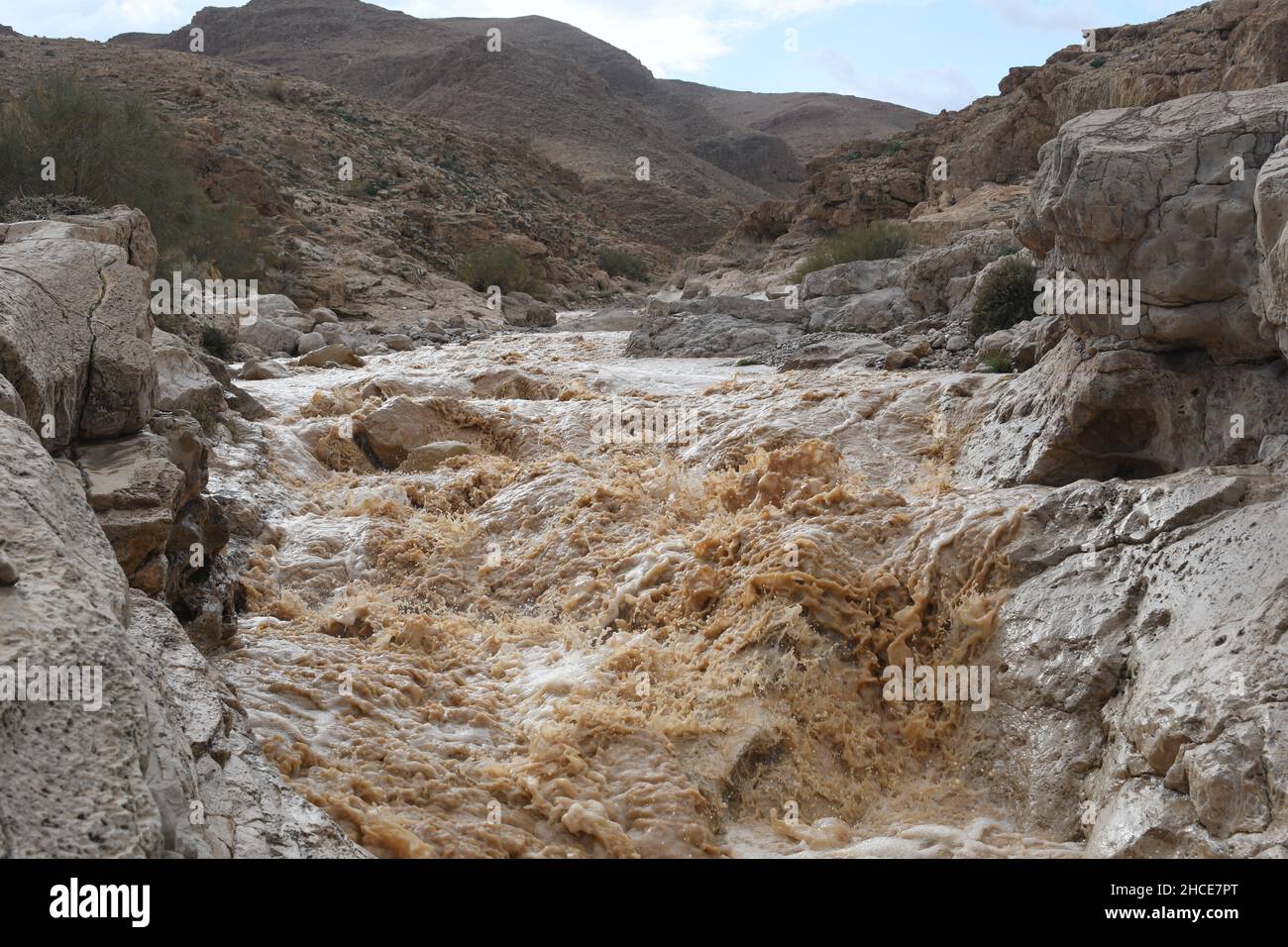 Flash Flood in the Negev Desert, Israel. Photographed in Wadi Tzeelim after heavy rainfall Stock Photo
