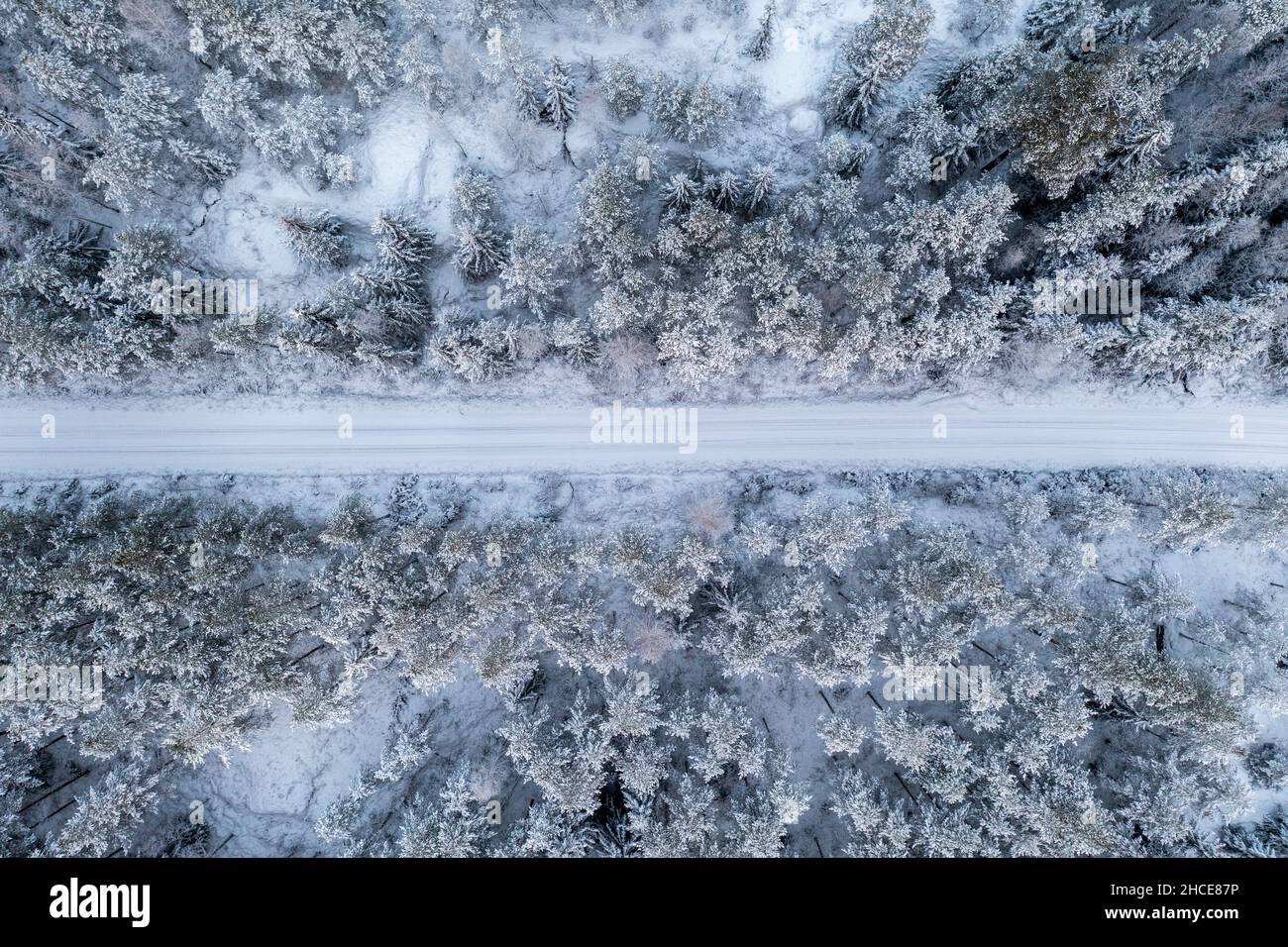 Top down aerial view of snow covered forest and road in winter. Snowy ...