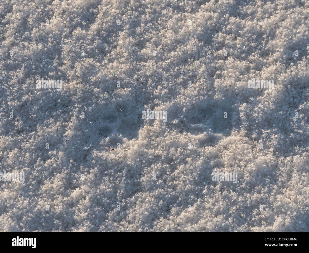 Snow layer hi-res stock photography and images - Alamy