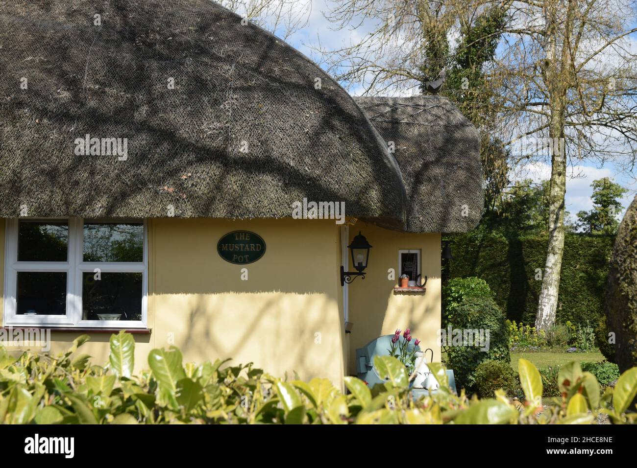 the mustard pot, thatched cottage Stock Photo Alamy
